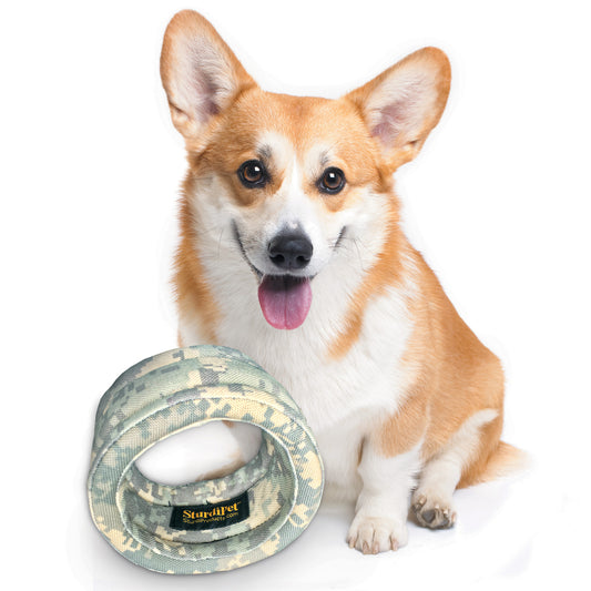RinGO Dog Toy-Toy-Sturdi Products-Sturdi Products