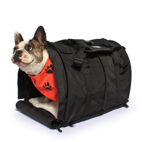 Incognito pet outlet carrier